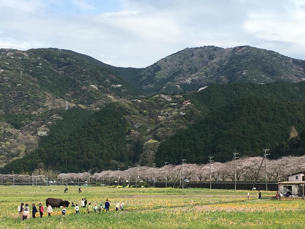 Dogashima Onsen Hotel Nishiizu Dış mekan fotoğraf