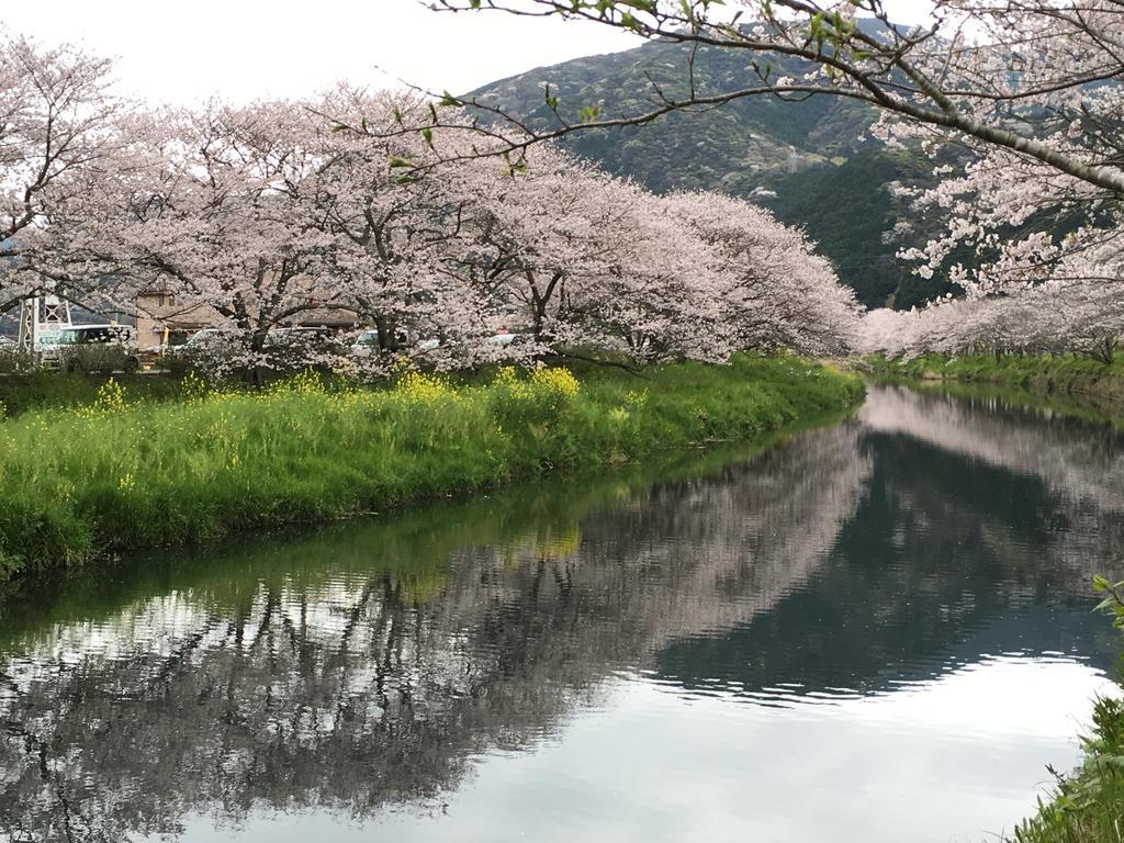 Dogashima Onsen Hotel Nishiizu Dış mekan fotoğraf